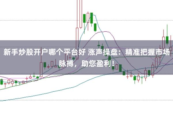 新手炒股开户哪个平台好 涨声操盘：精准把握市场脉搏，助您盈利！