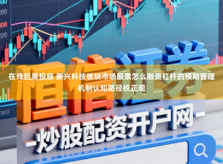 在线巨景投顾 新兴科技板块市场股票怎么融资杠杆的预期管理机制认知路径校正观